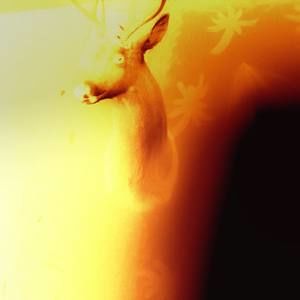 Meet your Posher, Brantley